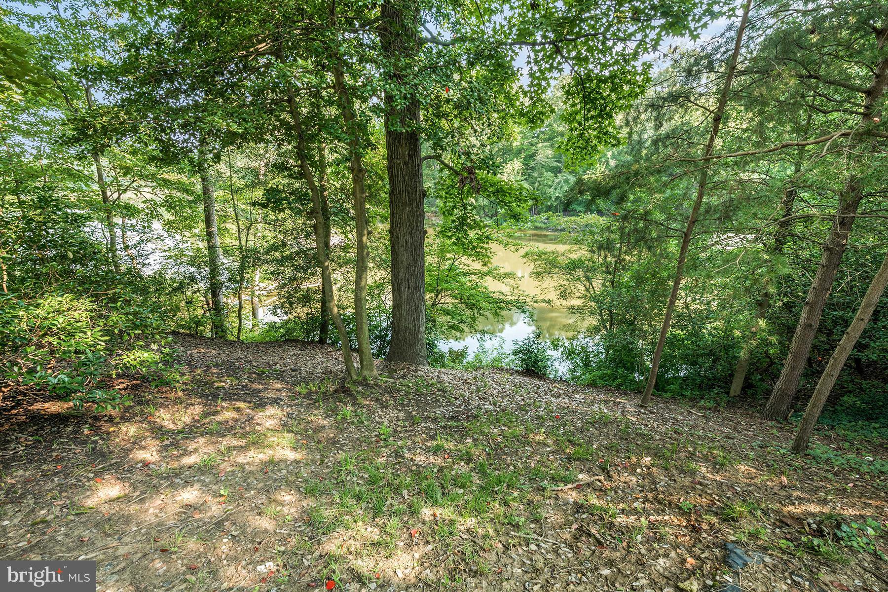 1435 Oak Bluff Road Edgewater, MD 21037 - Photo 16 of 21 View from private back yard