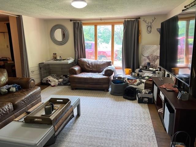31 Schiestle Road Mercer, PA 16137 - Photo 11 of 22 a living room with furniture window and a flat screen tv