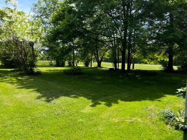 31 Schiestle Road Mercer, PA 16137 - Photo 6 of 22 a view of a trees in a yard
