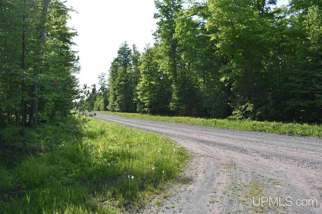 12651 Goodreau Road Skanee, MI 49962 - Photo 21 of 50 Gallery Image 21