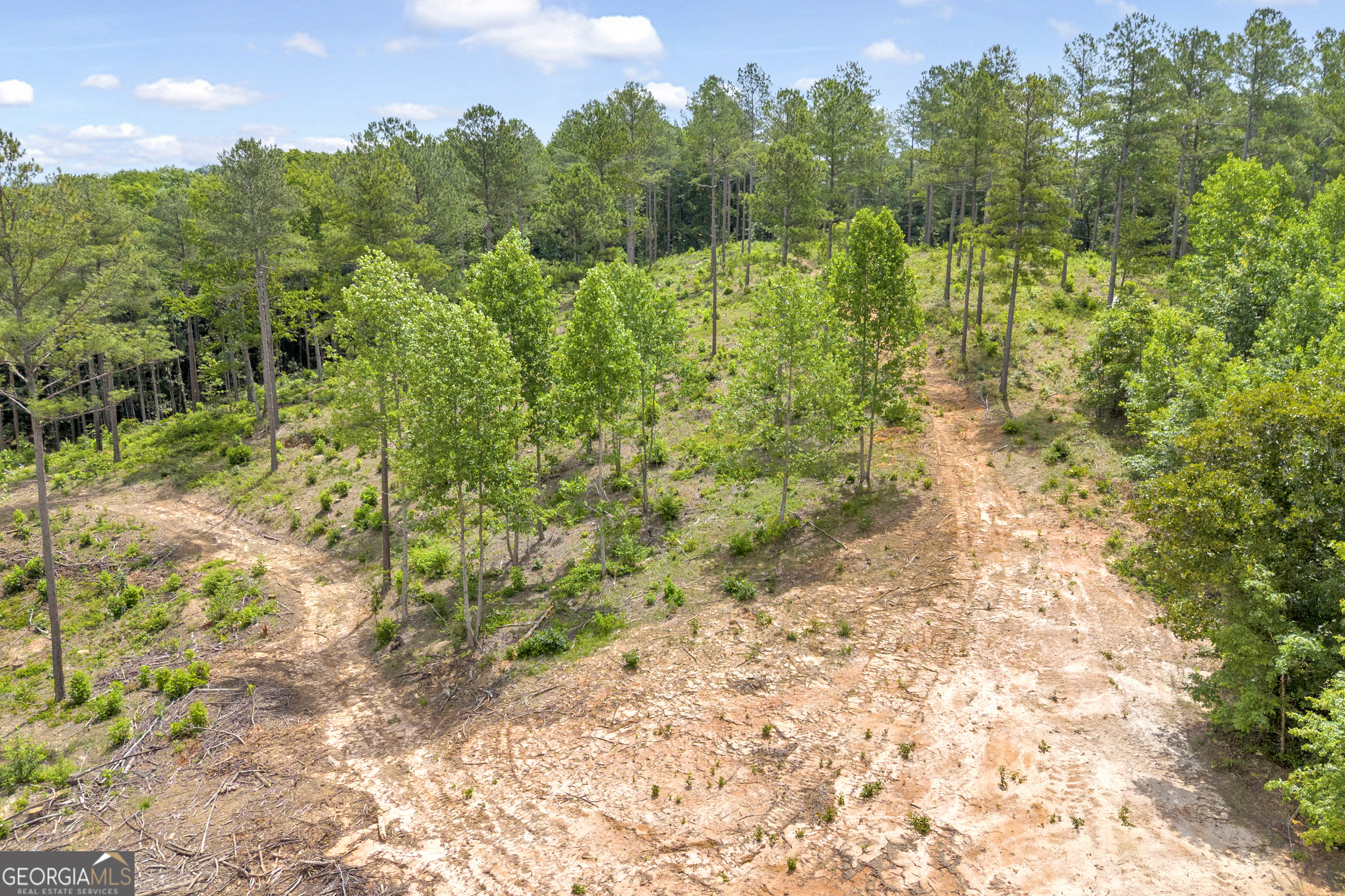 0 Mt Sinai Road, Unit LOT 1 Lula, GA 30554 - Photo 36 of 67