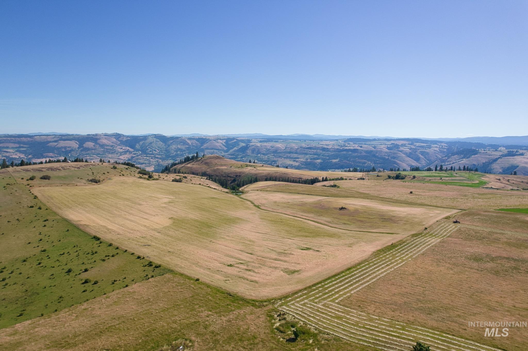 Doty Road Kamiah, ID 83536 - Photo 11 of 19