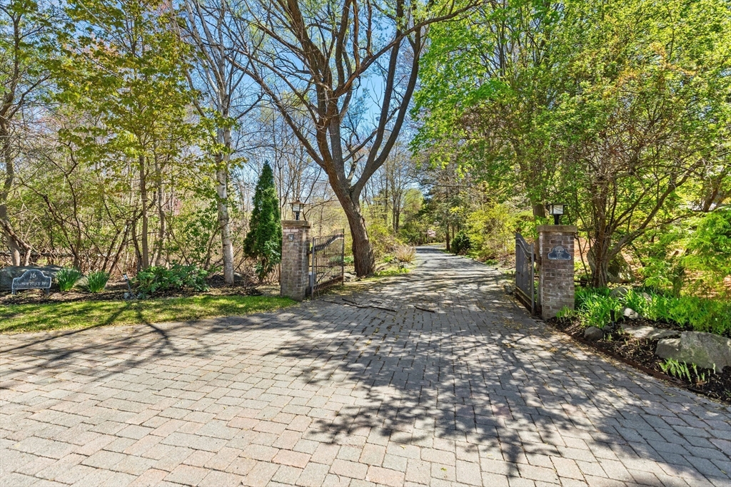 16 Solomon Pierce Road Lexington, MA 02420 - Photo 5 of 42 a view of backyard space and trees