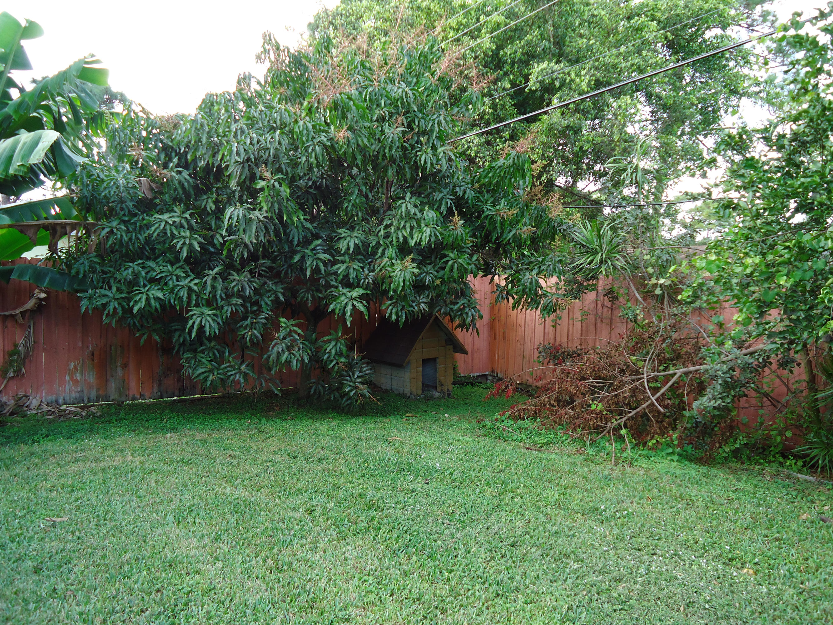 5051 Buchanan Road Delray Beach, FL 33484 - Photo 29 of 32 Backyard2