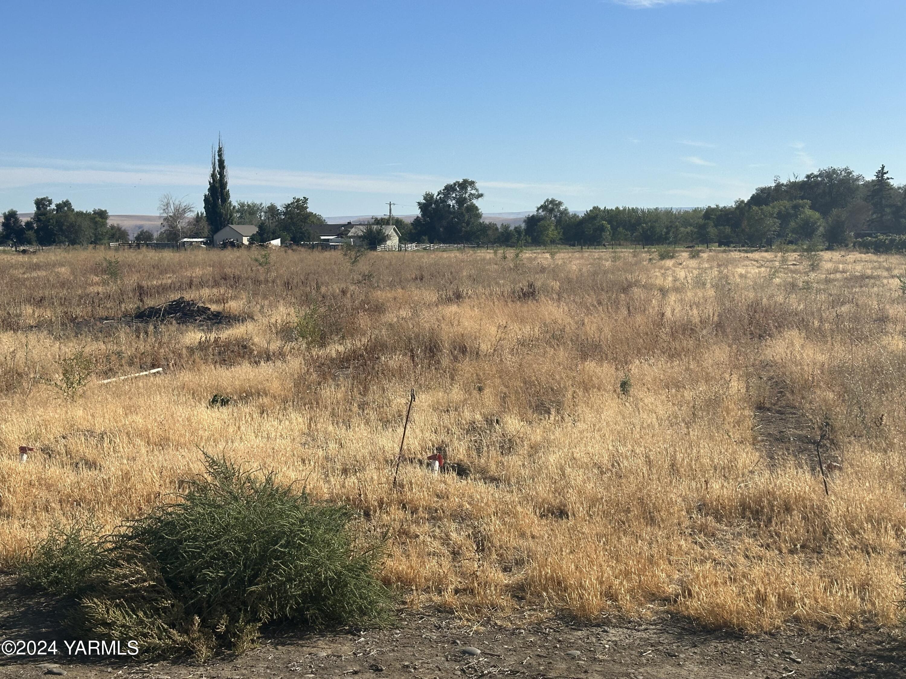 Nka Branch Road Toppenish, WA 98948 - Photo 6 of 7