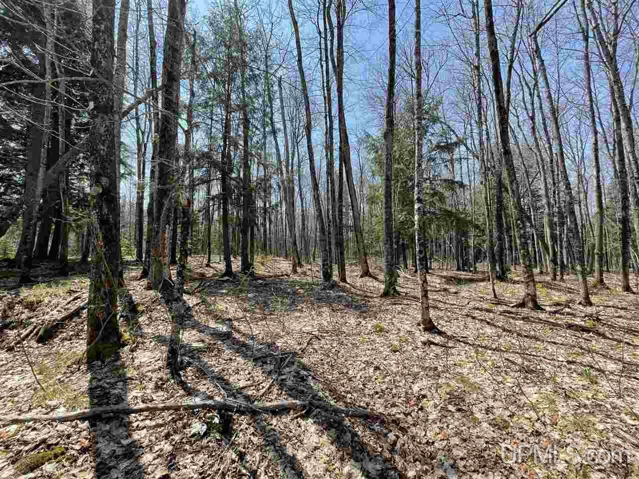 22503 Lower Skanee Road Skanee, MI 49962 - Photo 22 of 24 Gallery Image 22