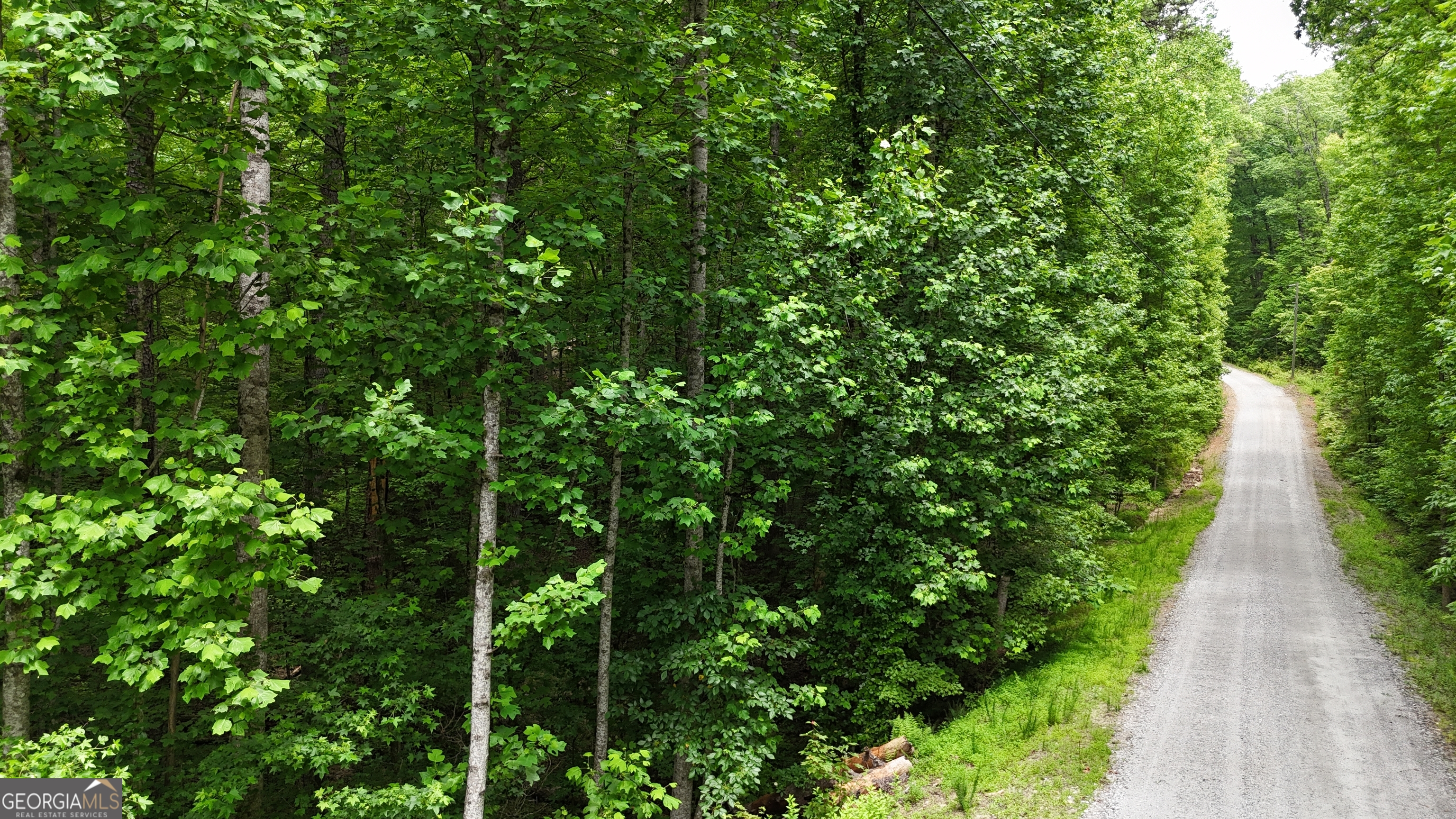 0 Sautee Ridge Road, Unit TRACT 1 Clarkesville, GA 30523 - Photo 6 of 10