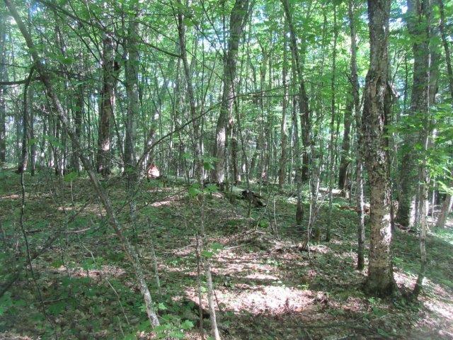 On Yellow Birch Road Presque Isle, WI 54557 - Photo 4 of 8 Gallery Image 4