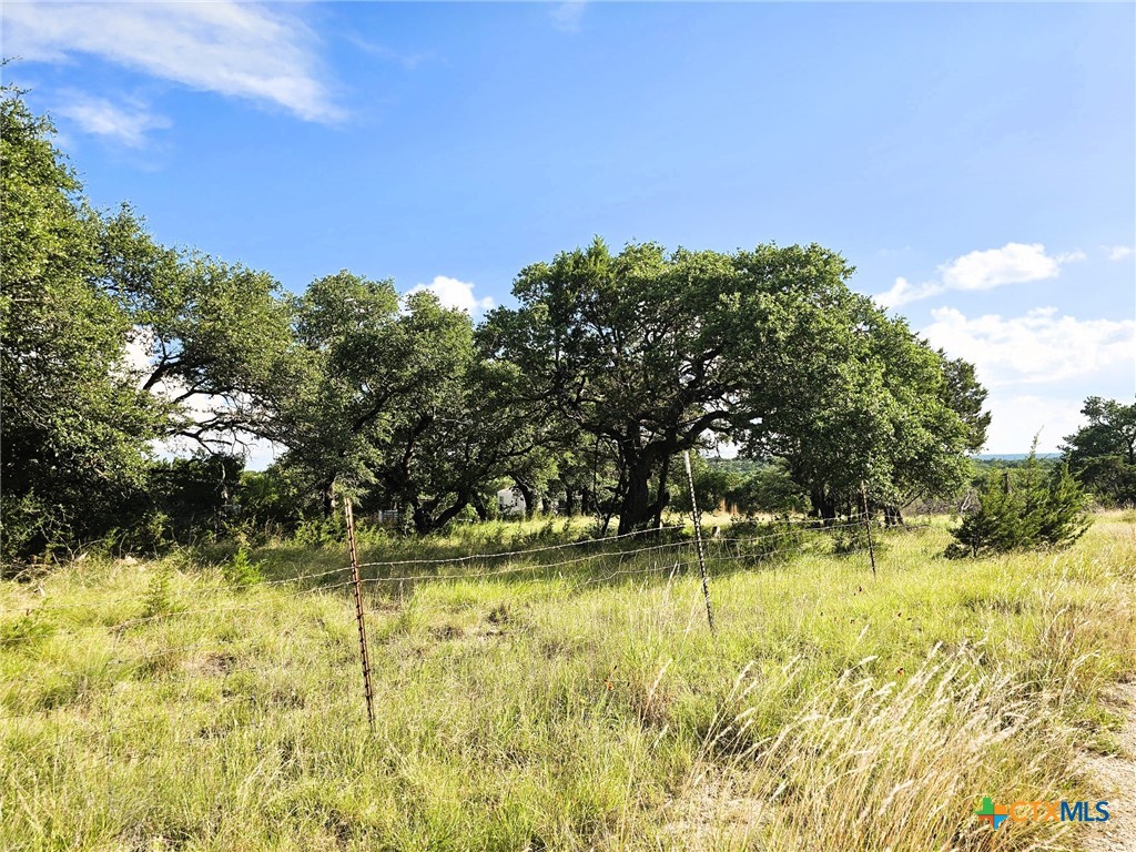 100 Reavis Drive Kempner, TX 76539 - Photo 27 of 33