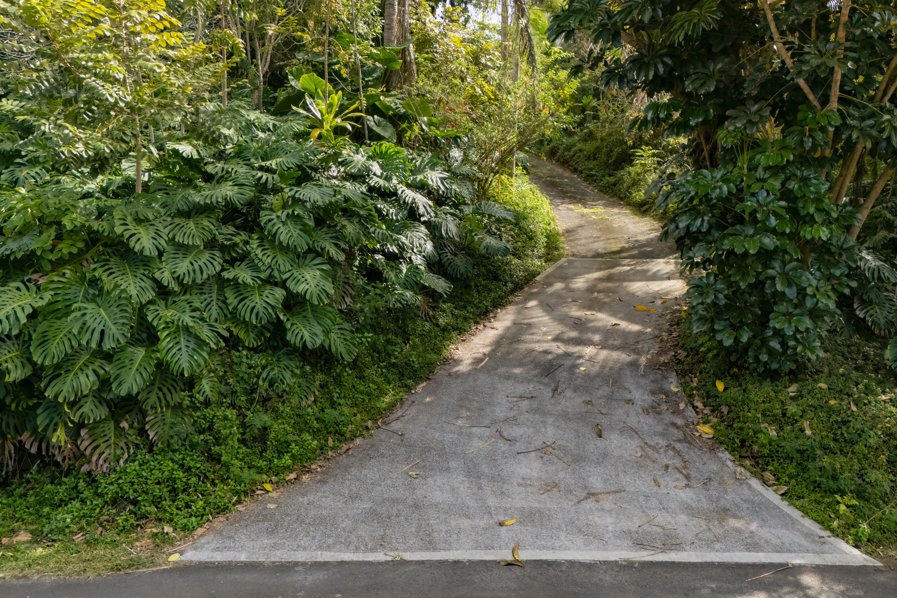 835362 A Painted Church Road, Unit 1 Captain Cook, HI 96704 - Photo 30 of 30