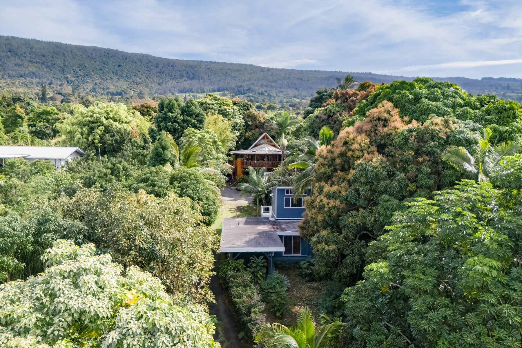 835362 A Painted Church Road, Unit 1 Captain Cook, HI 96704 - Photo 5 of 30