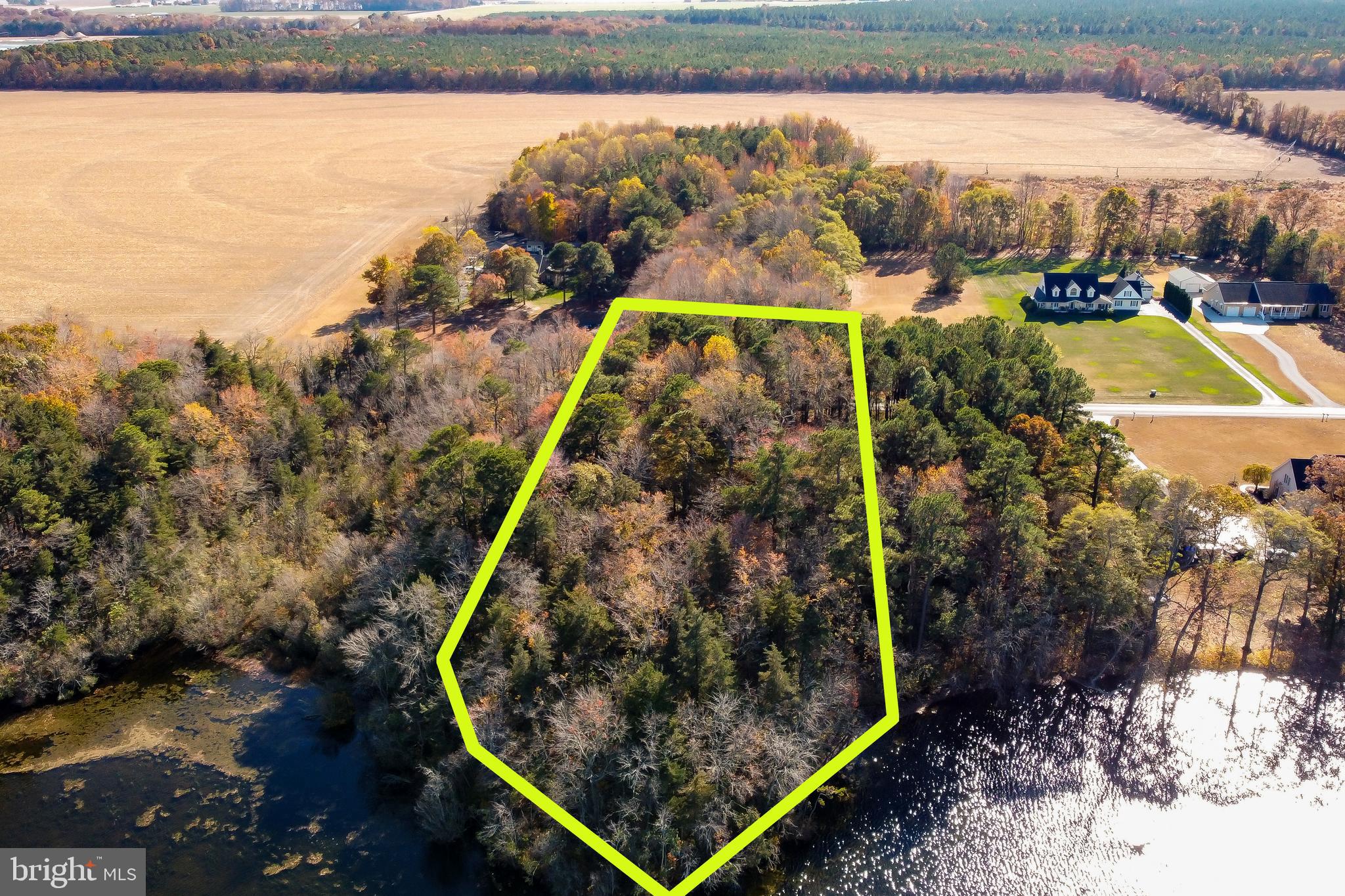 Lot 4 Reynolds Pond Road Ellendale, DE 19941 - Photo 6 of 6