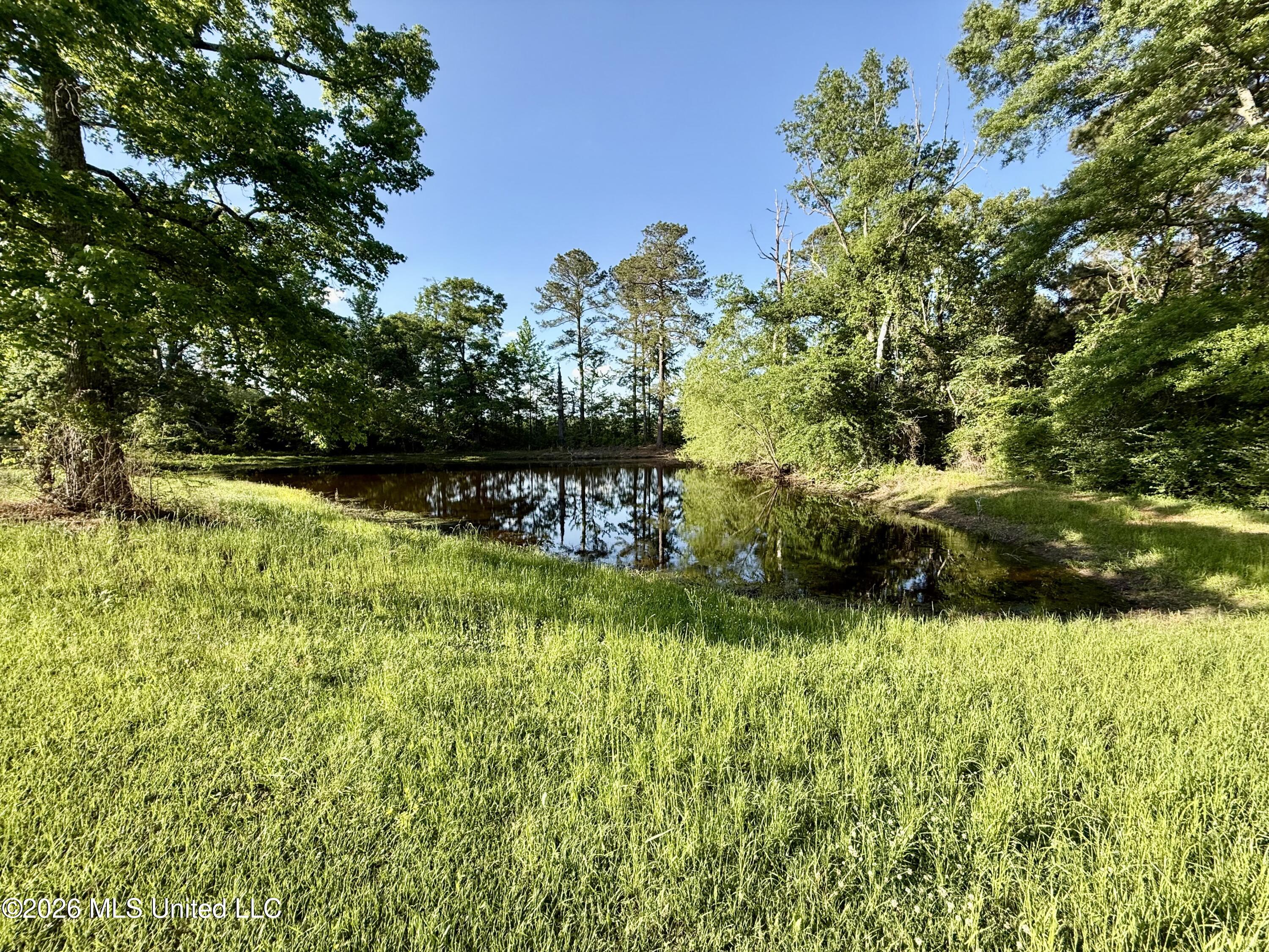 228 McGuire Road Magee, MS 39111 - Photo 9 of 38 IMG_2602