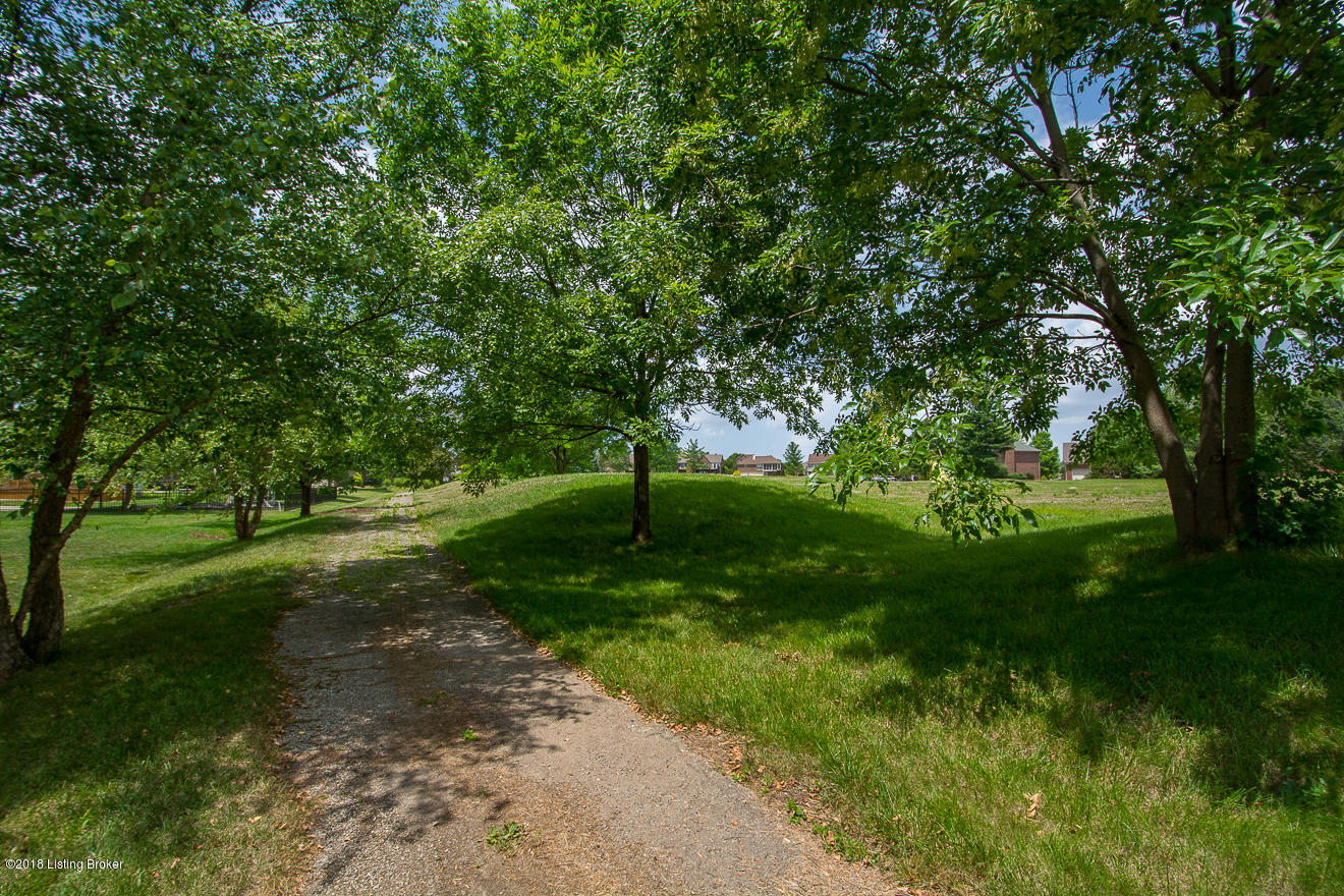 10411 Long Home Road Louisville, KY 40291 - Photo 73 of 89 LongHome-84