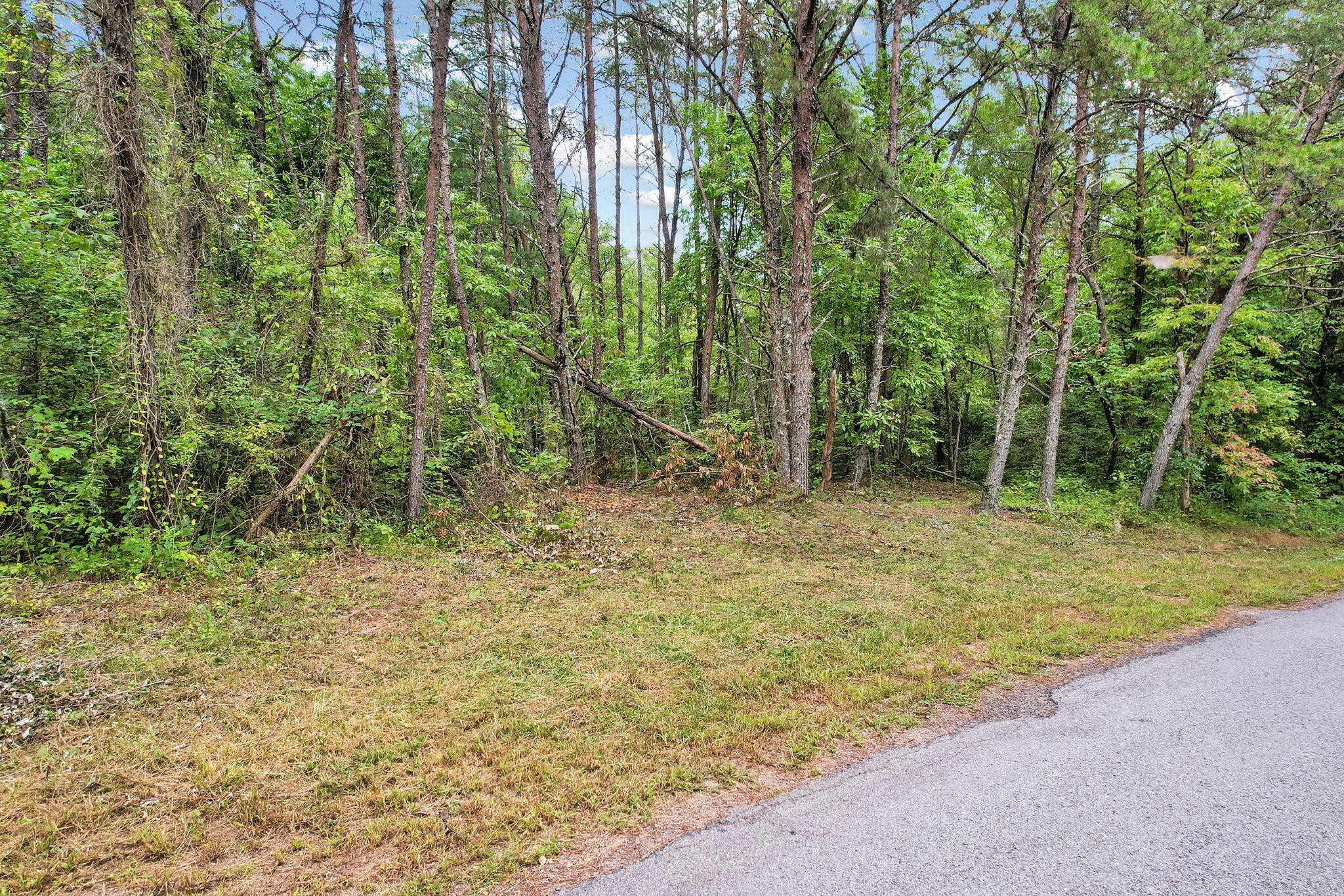 0 Golf Course Road Copperhill, TN 37317 - Photo 2 of 7 a view of outdoor space and yard