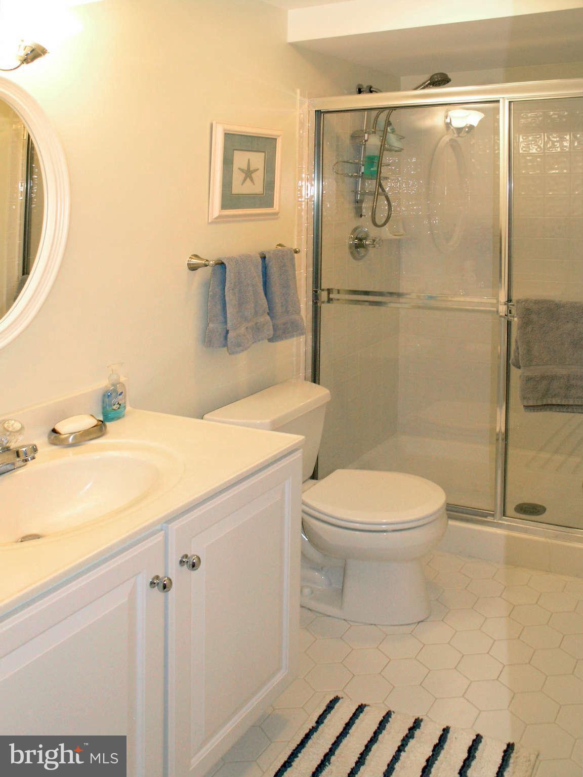 11414 Night Star Way Reston, VA 20194 - Photo 25 of 30 Bath