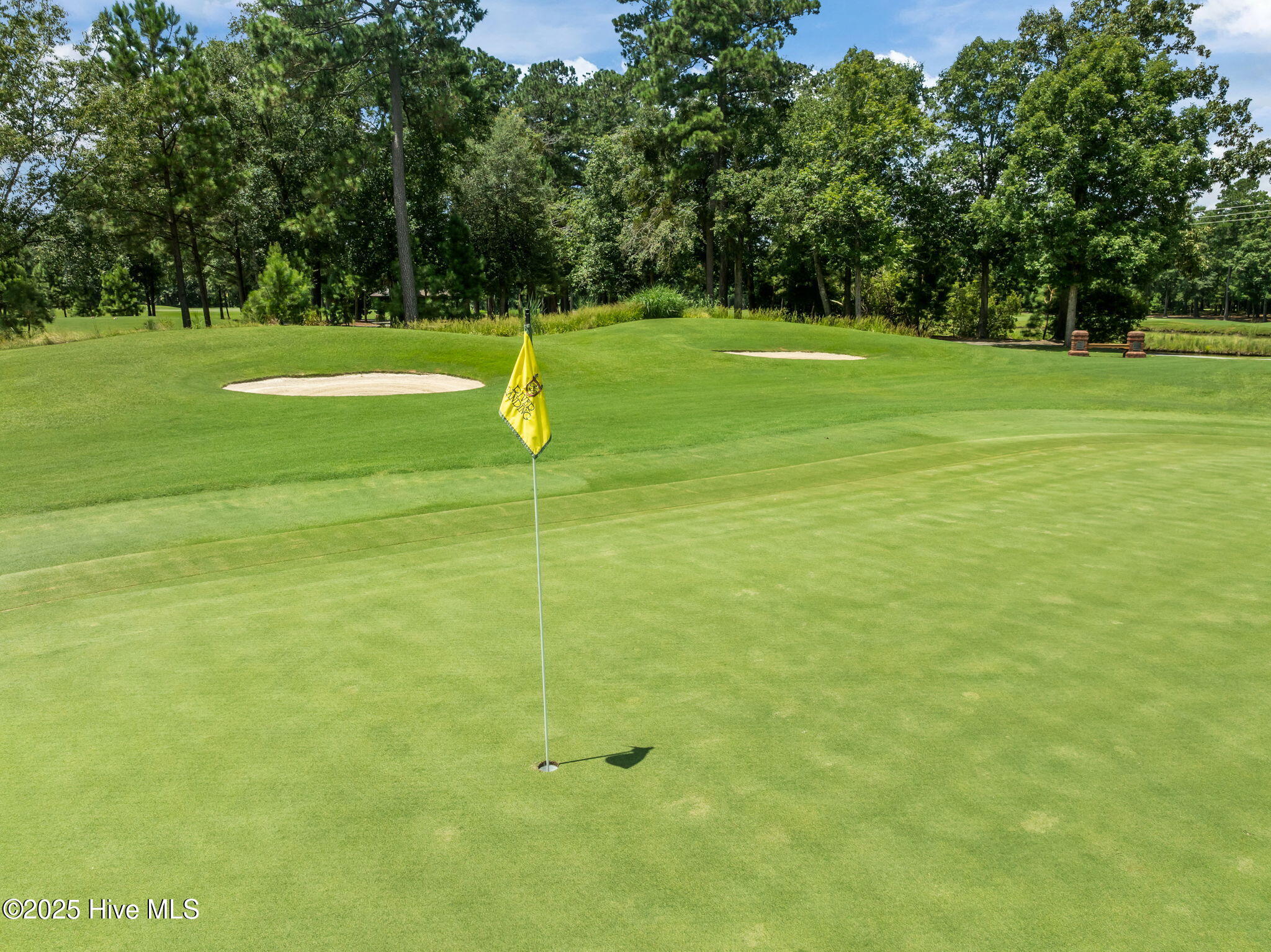 125 Falling Water Way Wallace, NC 28466 - Photo 72 of 82 34-web-or-mls-32