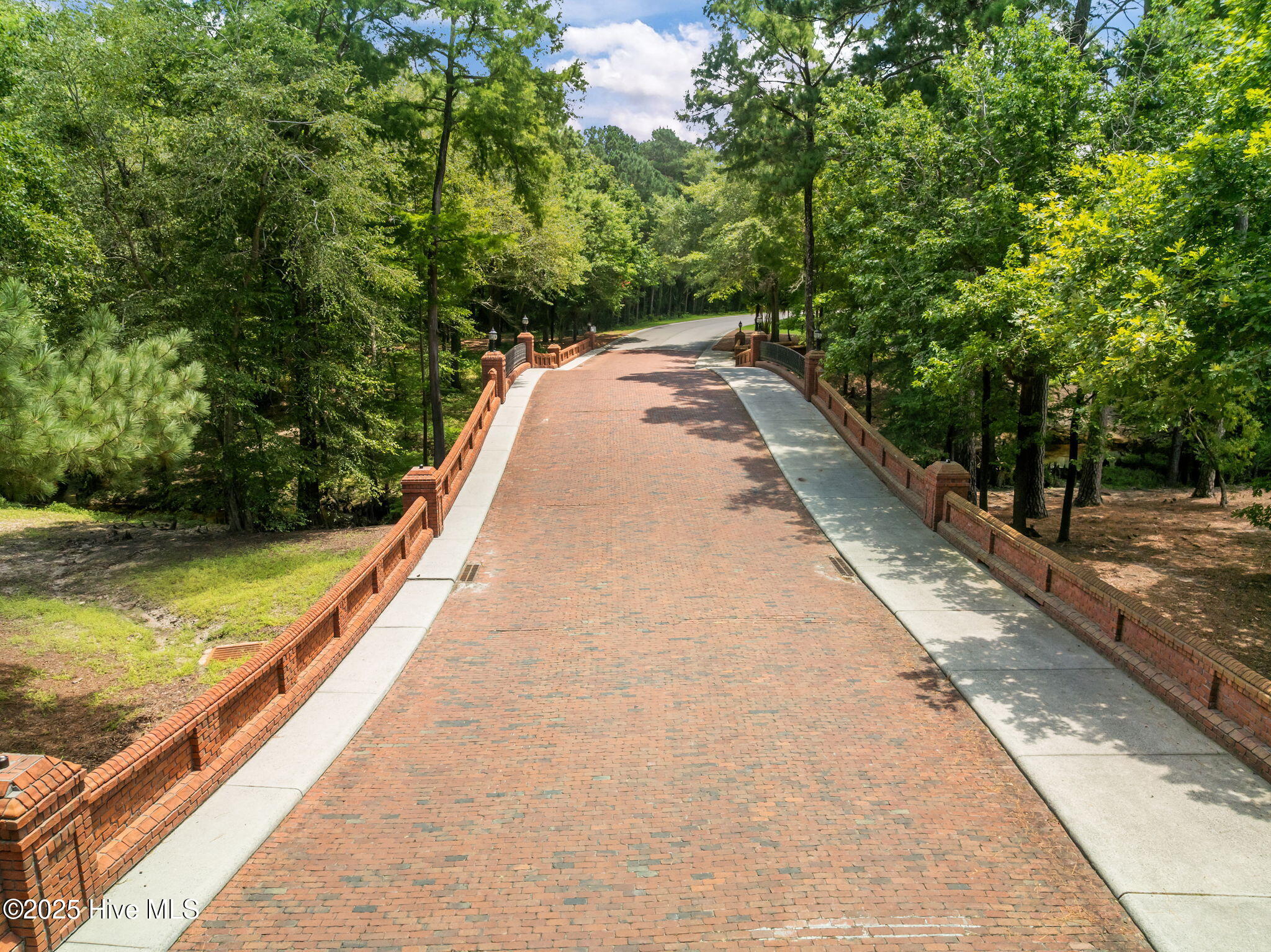 125 Falling Water Way Wallace, NC 28466 - Photo 78 of 82 40-web-or-mls-38