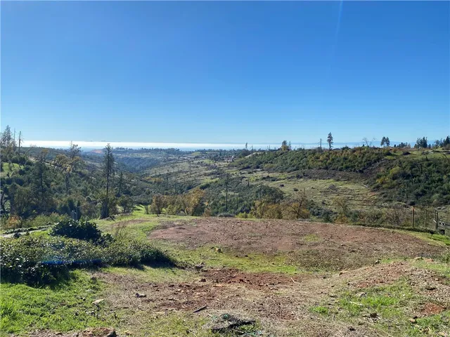 a view of a field with trees in background