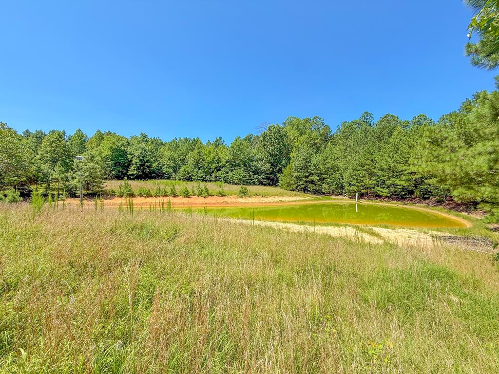 Flat Rock Road Blackstone, VA 23824 - Photo 1 of 11 Gallery Image 1