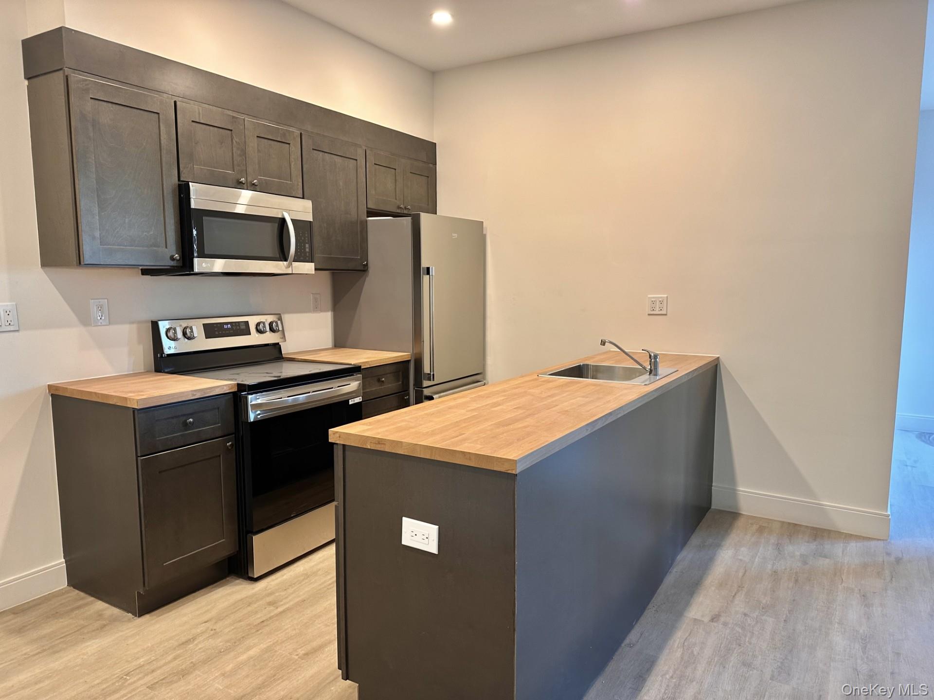 362 West Merrick Road, Unit 206 Valley Stream, NY 11580 - Photo 2 of 8 Kitchen featuring stainless steel appliances, a peninsula, light wood-type flooring, dark brown cabinets, and recessed lighting