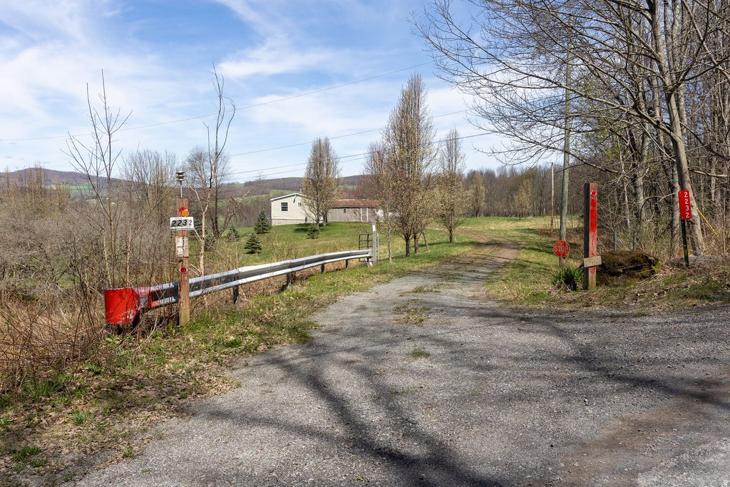 2232 Foote Hollow Road Stamford, NY 12167 - Photo 15 of 35 driveway