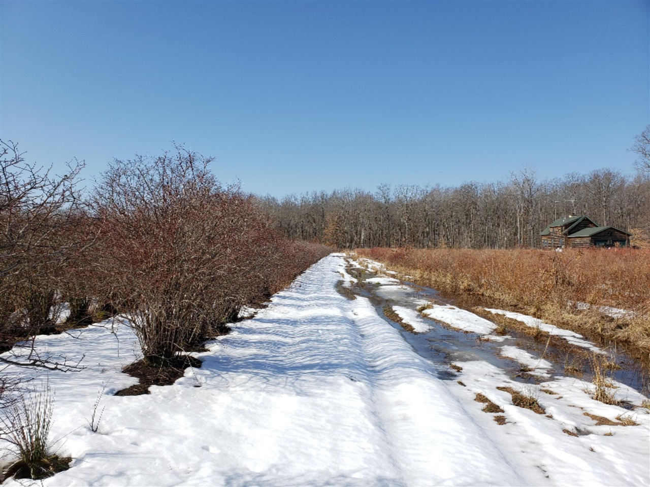 Vl Paw Paw Lake Road Covert, MI 49043 - Photo 18 of 31 Gallery Image 18