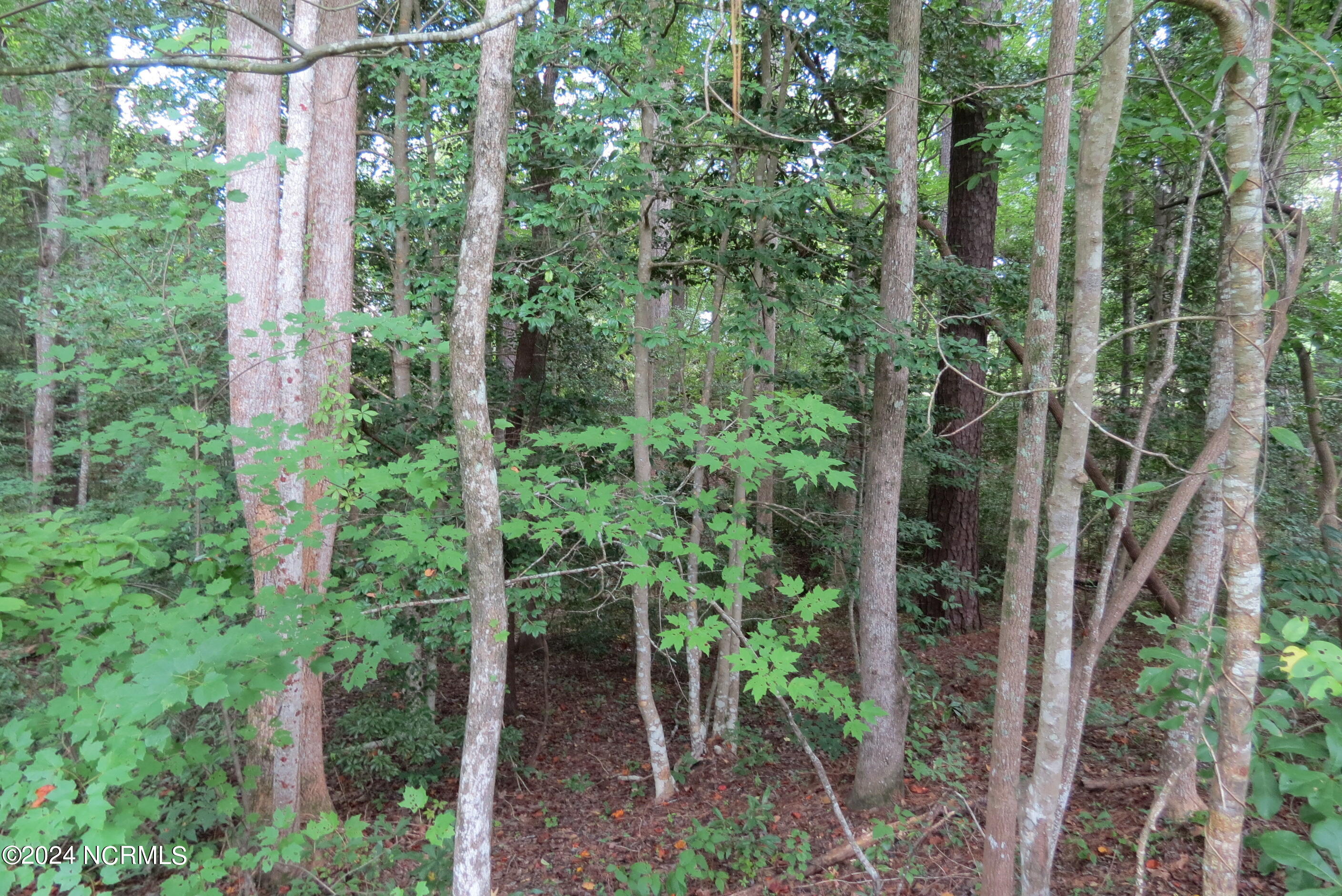 455 Bennett Neck Road Grantsboro, NC 28529 - Photo 65 of 65 IMG_9876