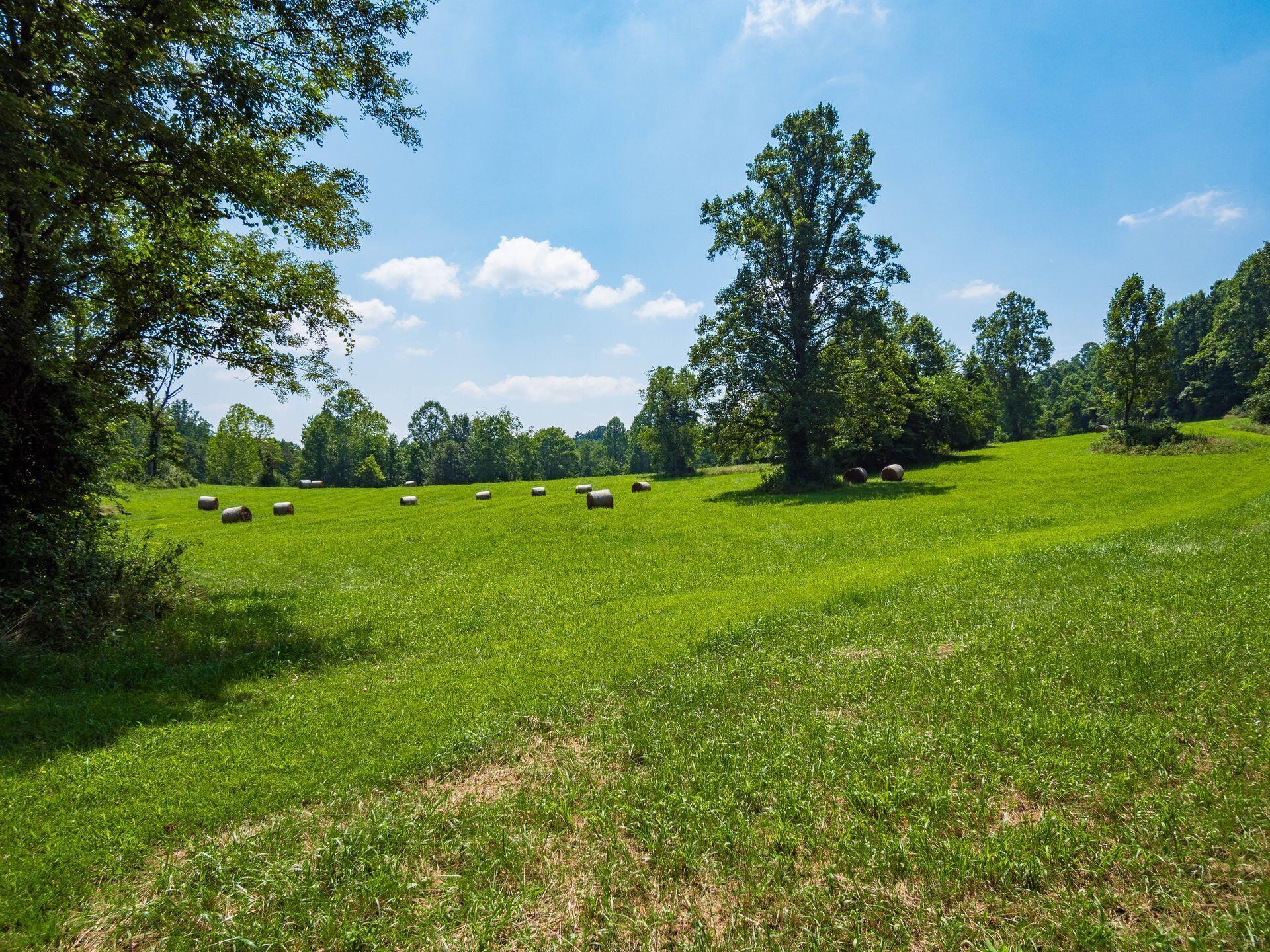 236 Tom Corwin Road Wellston, OH 45692 - Photo 68 of 104 OPEN FIELD