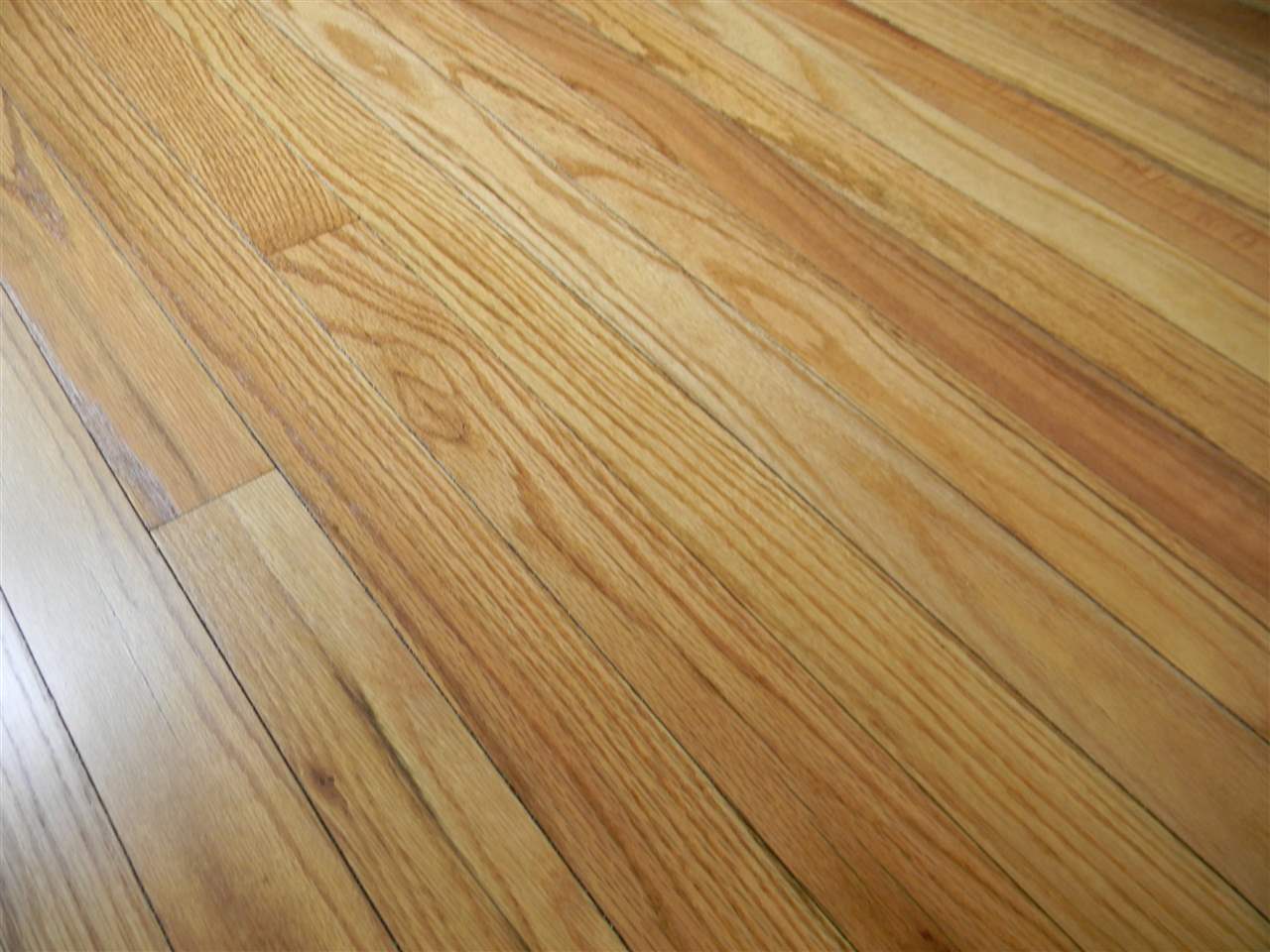 5492 Freedom Arney Road Freedom, IN 47431 - Photo 19 of 29 Gallery Image 19