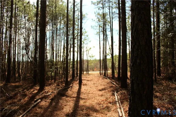 $149,450 | 0 Greentown Drive, Lawrenceville, VA 23868
