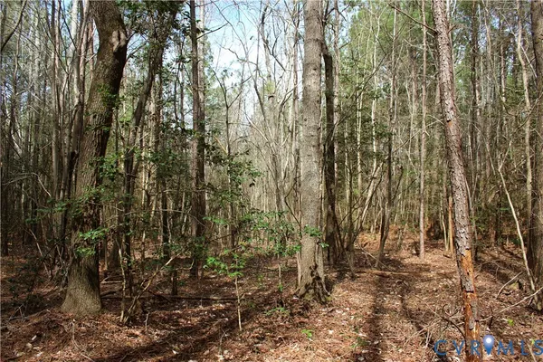 $149,450 | 0 Greentown Drive, Lawrenceville, VA 23868