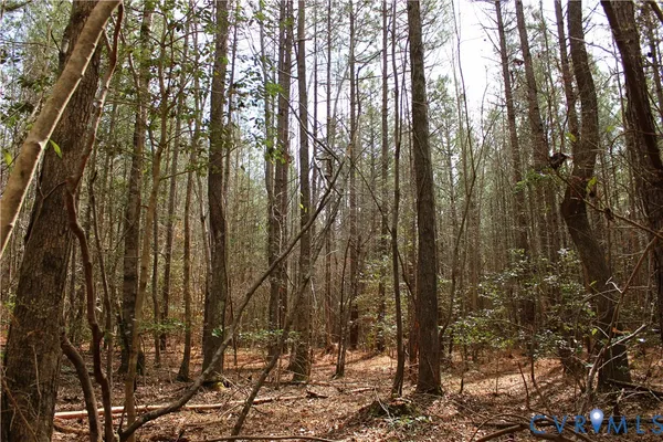 $149,450 | 0 Greentown Drive, Lawrenceville, VA 23868