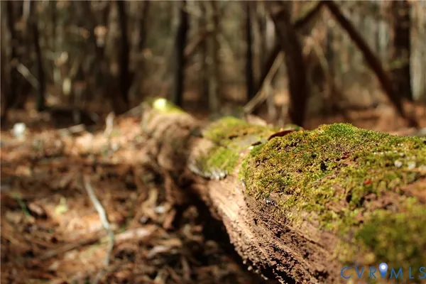 $149,450 | 0 Greentown Drive, Lawrenceville, VA 23868