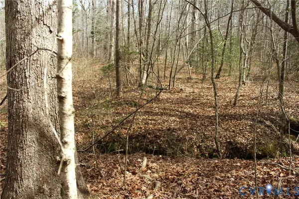 $149,450 | 0 Greentown Drive, Lawrenceville, VA 23868