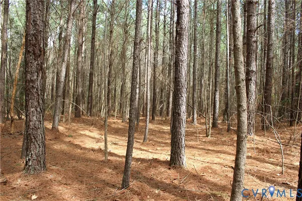 $149,450 | 0 Greentown Drive, Lawrenceville, VA 23868