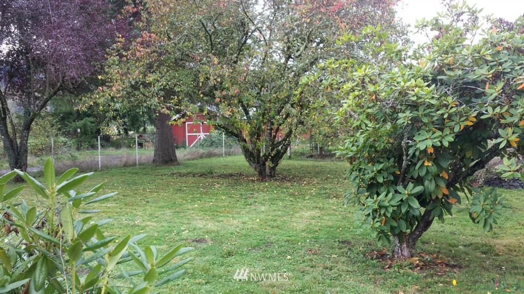 112 Schoonover Road Mossyrock, WA 98564 - Photo 18 of 21 Gallery Image 18