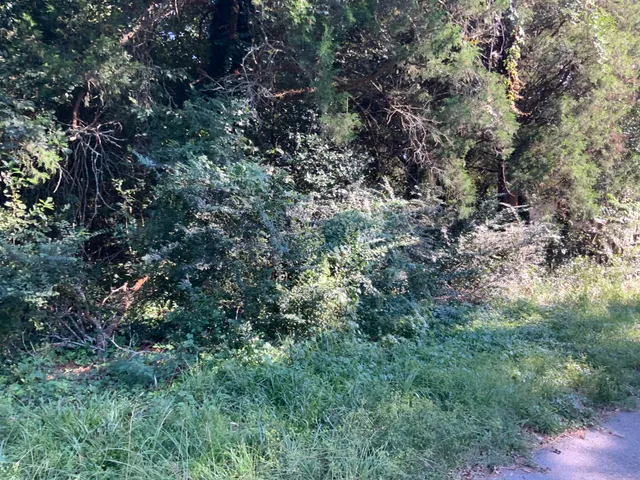 $29,900 | 123 Dawsey Street, Cordova, SC 29039