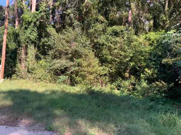 $29,900 | 123 Dawsey Street, Cordova, SC 29039