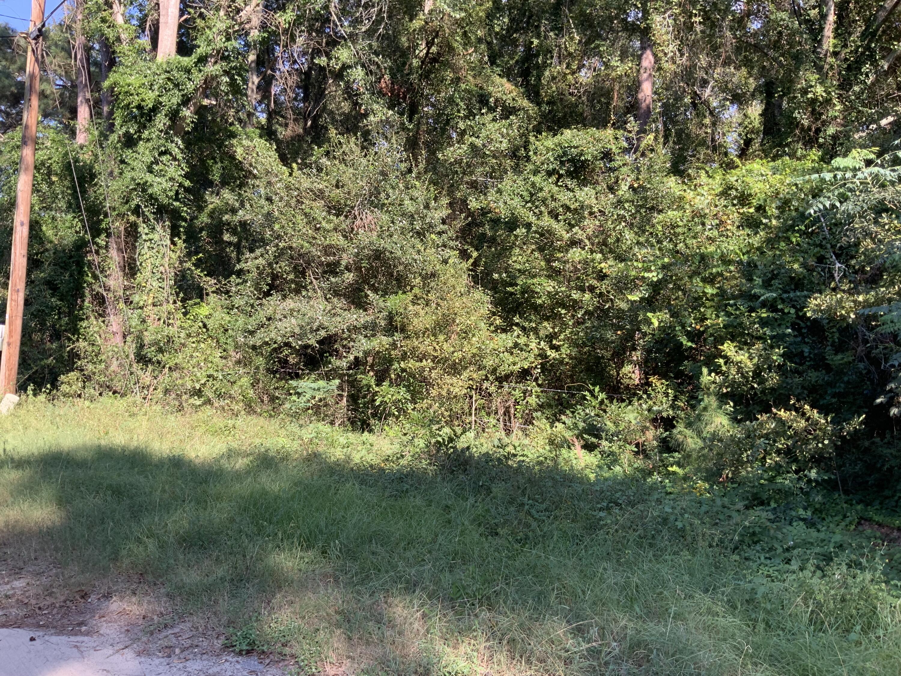 123 Dawsey Street Cordova, SC 29039 - Photo 14 of 20 IMG_0454