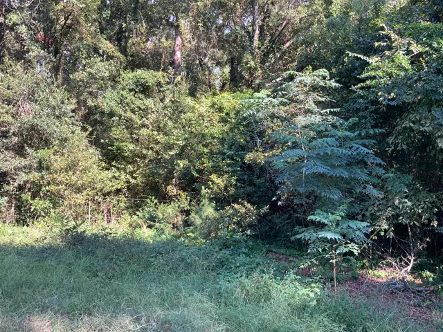 $29,900 | 123 Dawsey Street, Cordova, SC 29039