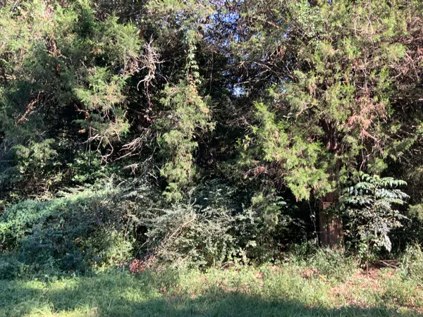 $29,900 | 123 Dawsey Street, Cordova, SC 29039