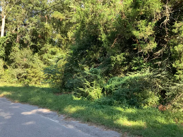 $29,900 | 123 Dawsey Street, Cordova, SC 29039