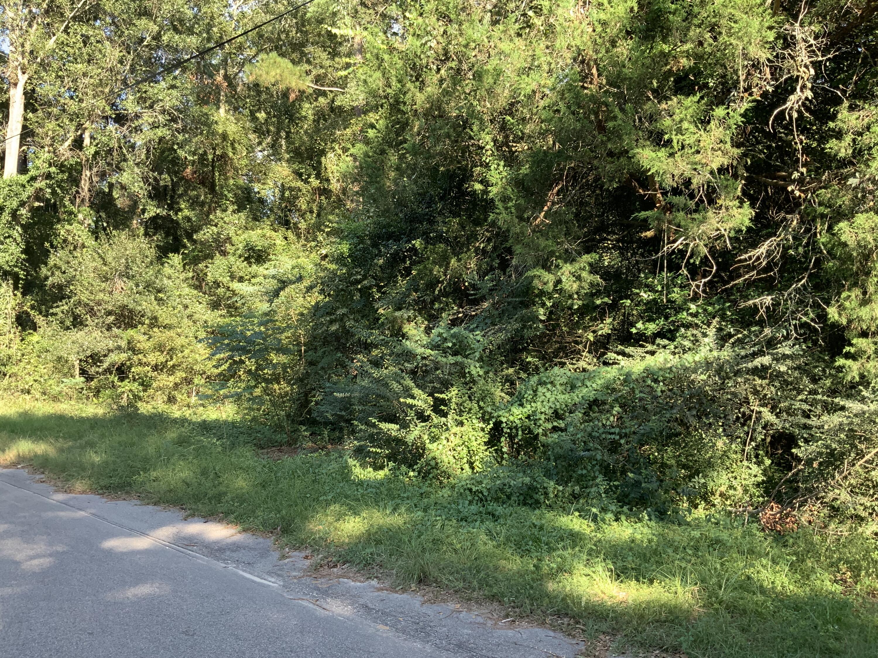 123 Dawsey Street Cordova, SC 29039 - Photo 17 of 20 IMG_0449