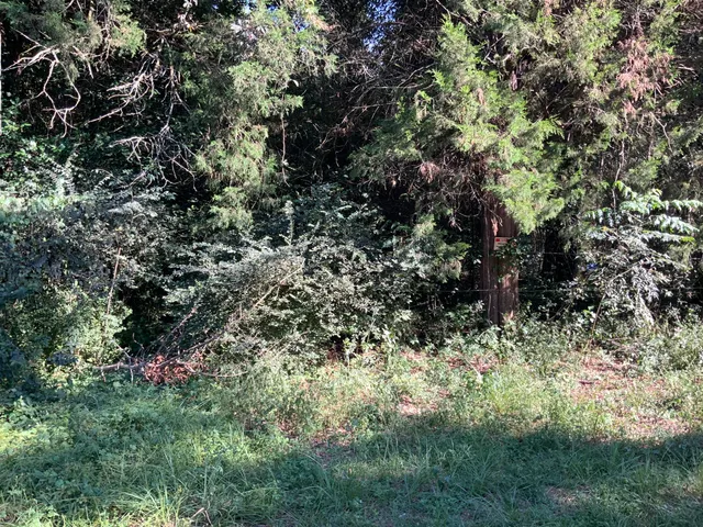 $29,900 | 123 Dawsey Street, Cordova, SC 29039