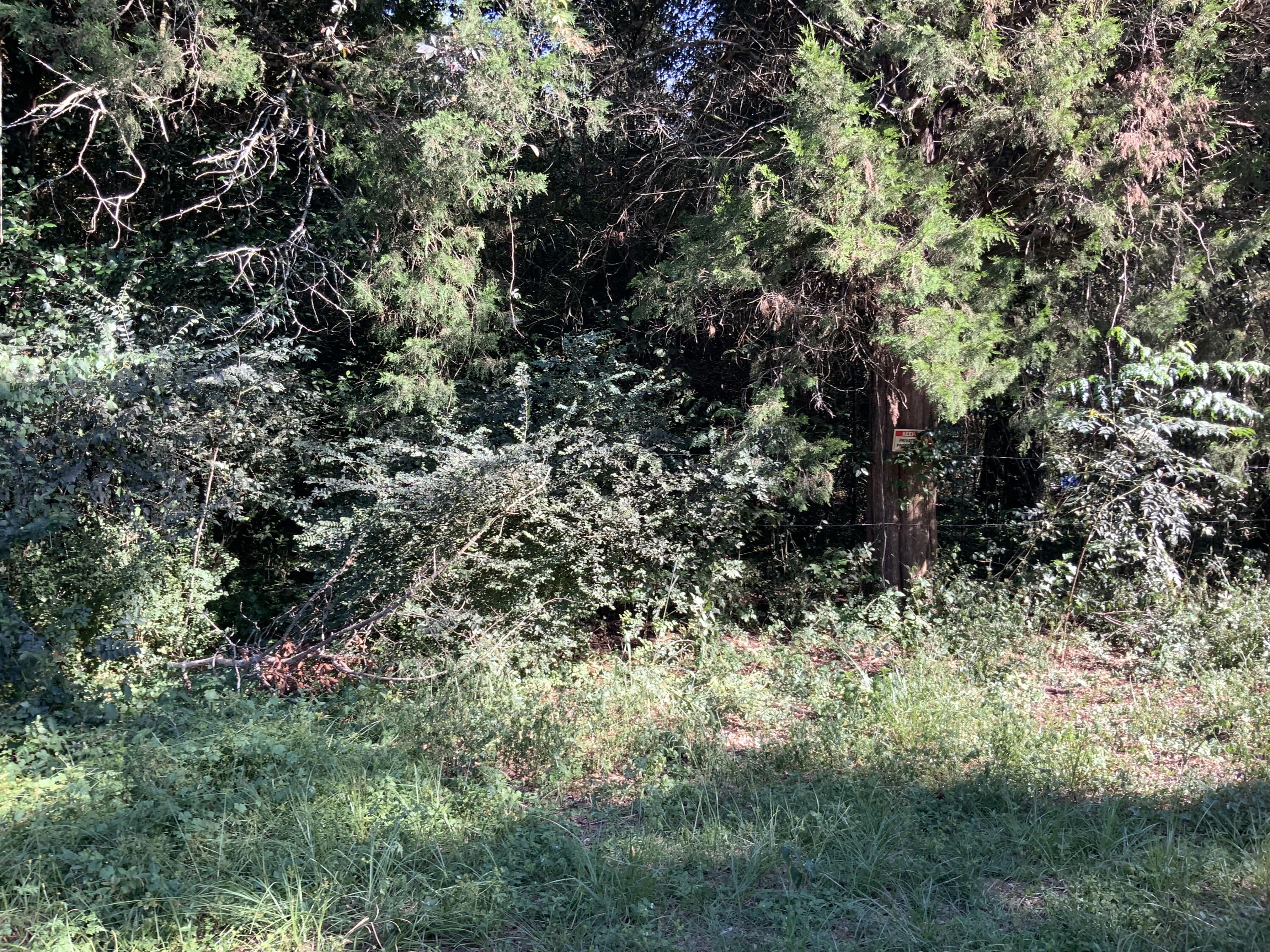 123 Dawsey Street Cordova, SC 29039 - Photo 18 of 20 IMG_0450