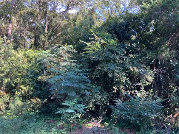 $29,900 | 123 Dawsey Street, Cordova, SC 29039