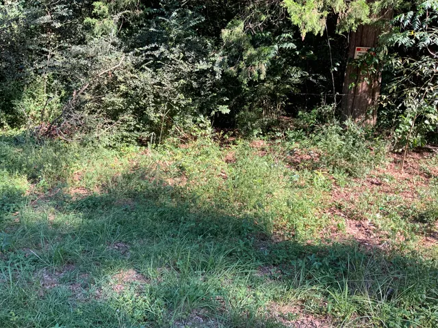 $29,900 | 123 Dawsey Street, Cordova, SC 29039