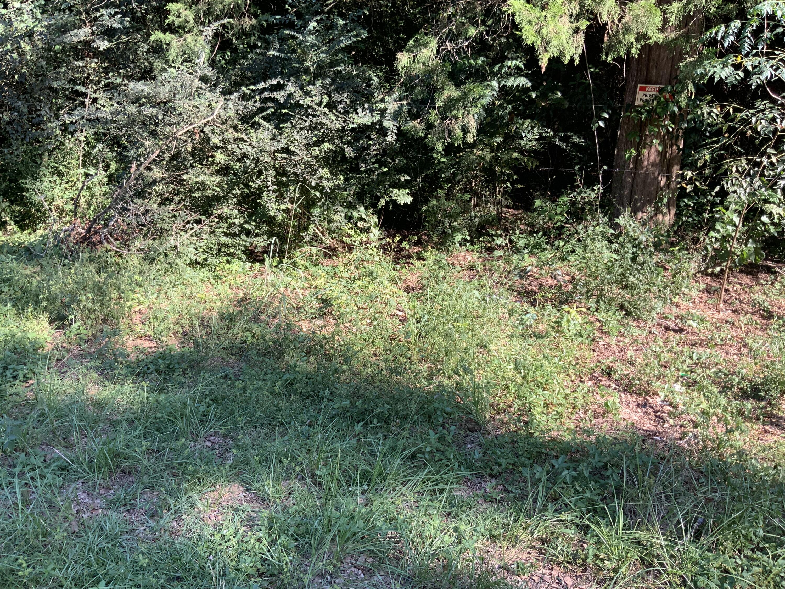 123 Dawsey Street Cordova, SC 29039 - Photo 4 of 20 IMG_0464