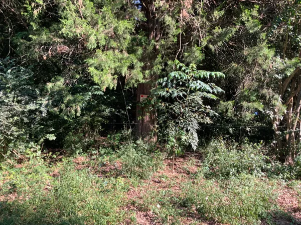 $29,900 | 123 Dawsey Street, Cordova, SC 29039